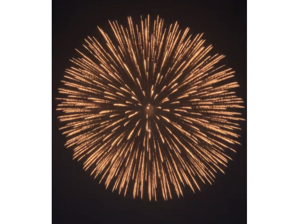 ④花火 (002)