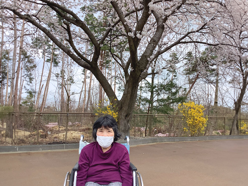 花見